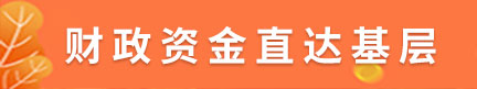 財(cái)政資金直達(dá)基層